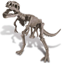 KidzLabs - Dig a Dinosaur Skeleton - Tyrannosaurus Rex - ABC School Supplies