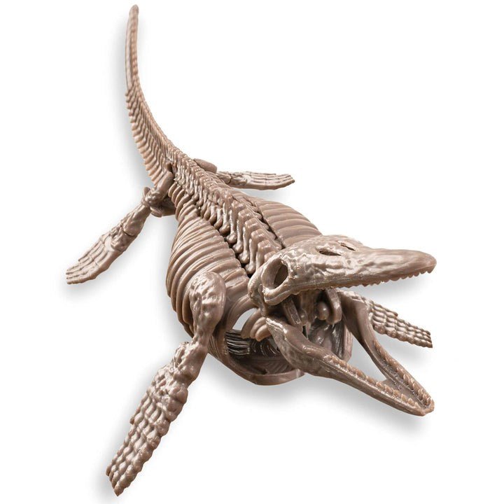 KidzLabs - Dig A Mosasaurus Skeleton - ABC School Supplies