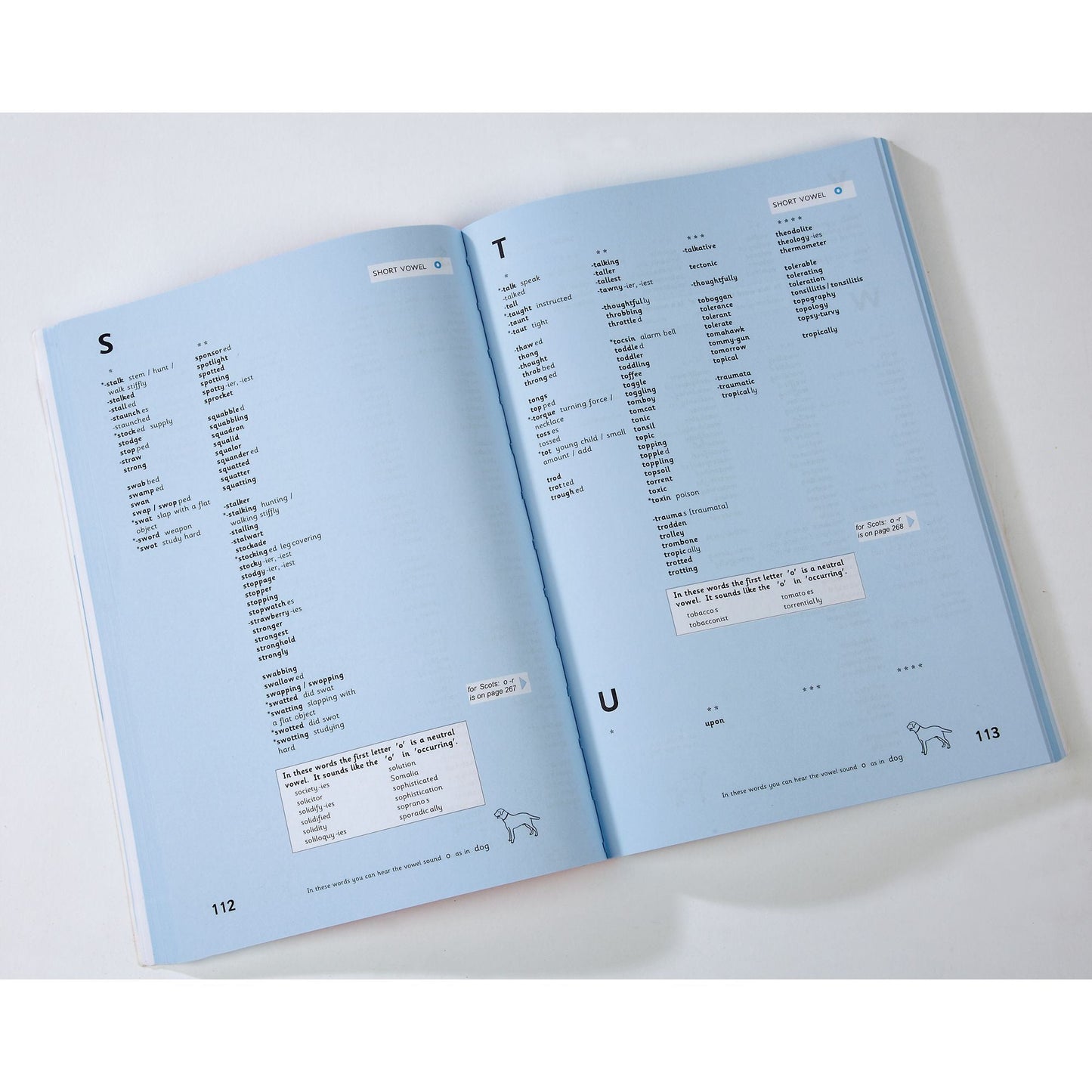LDA ACE Spelling Dictionary - ABC School Supplies
