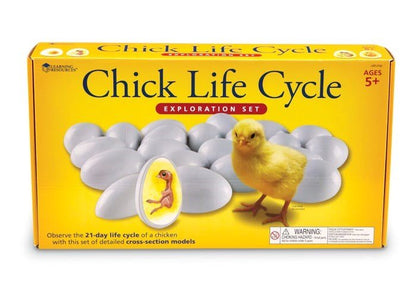 Learning Resources Chick Life Cycle Exploration Set - ABC School Supplies