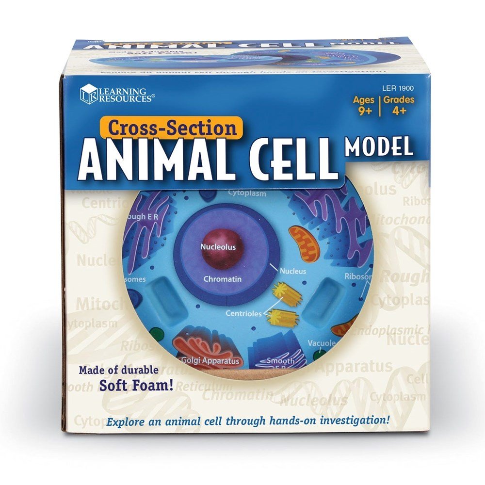 Learning Resources Crosssection Animal Cell Model - ABC School Supplies