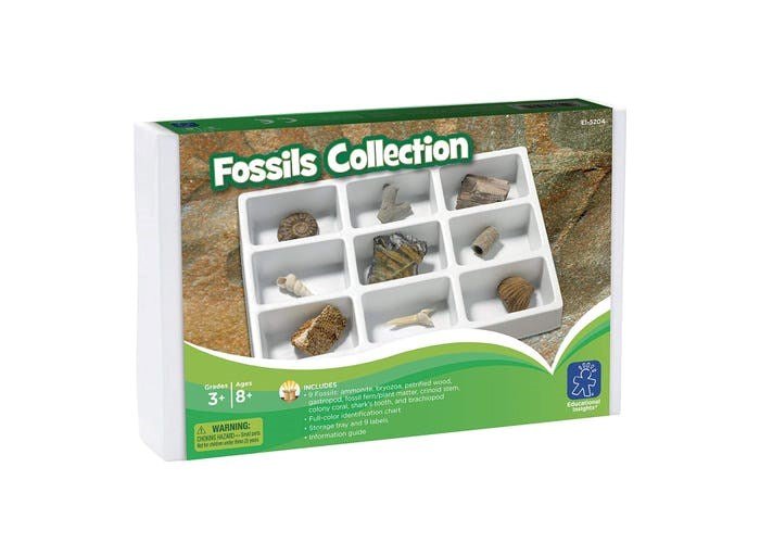**Learning Resources Fossils Collection - ABC School Supplies