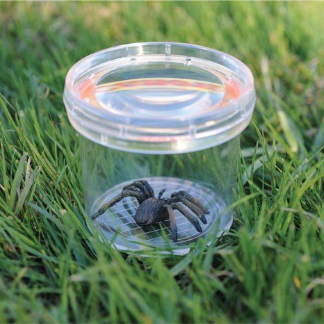 Learning Resources Geosafari Jr. Bug Viewer Jar - ABC School Supplies