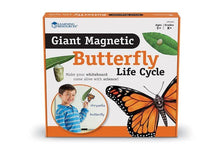 Learning Resources Giant Magnetic Butterfly Life Cycle - ABC School Supplies