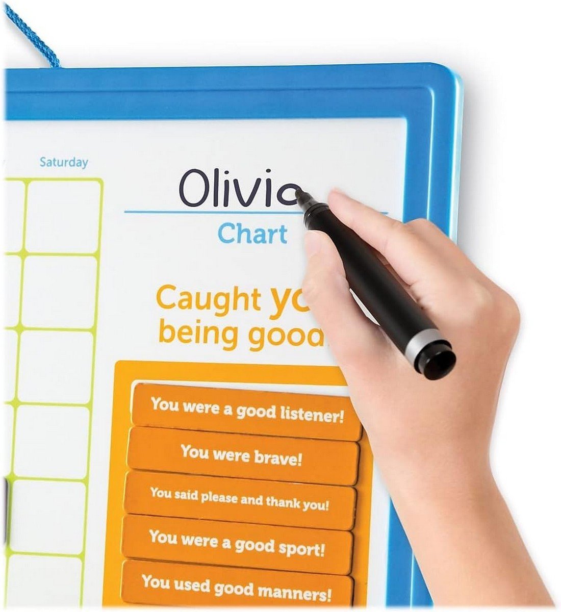 Learning Resources Good Job Reward Chart - ABC School Supplies