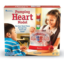 Learning Resources Pumping Heart Model - ABC School Supplies
