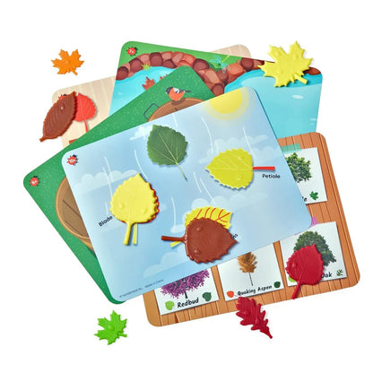 Learning Resources Sensory Leaves Math Activity Set - ABC School Supplies