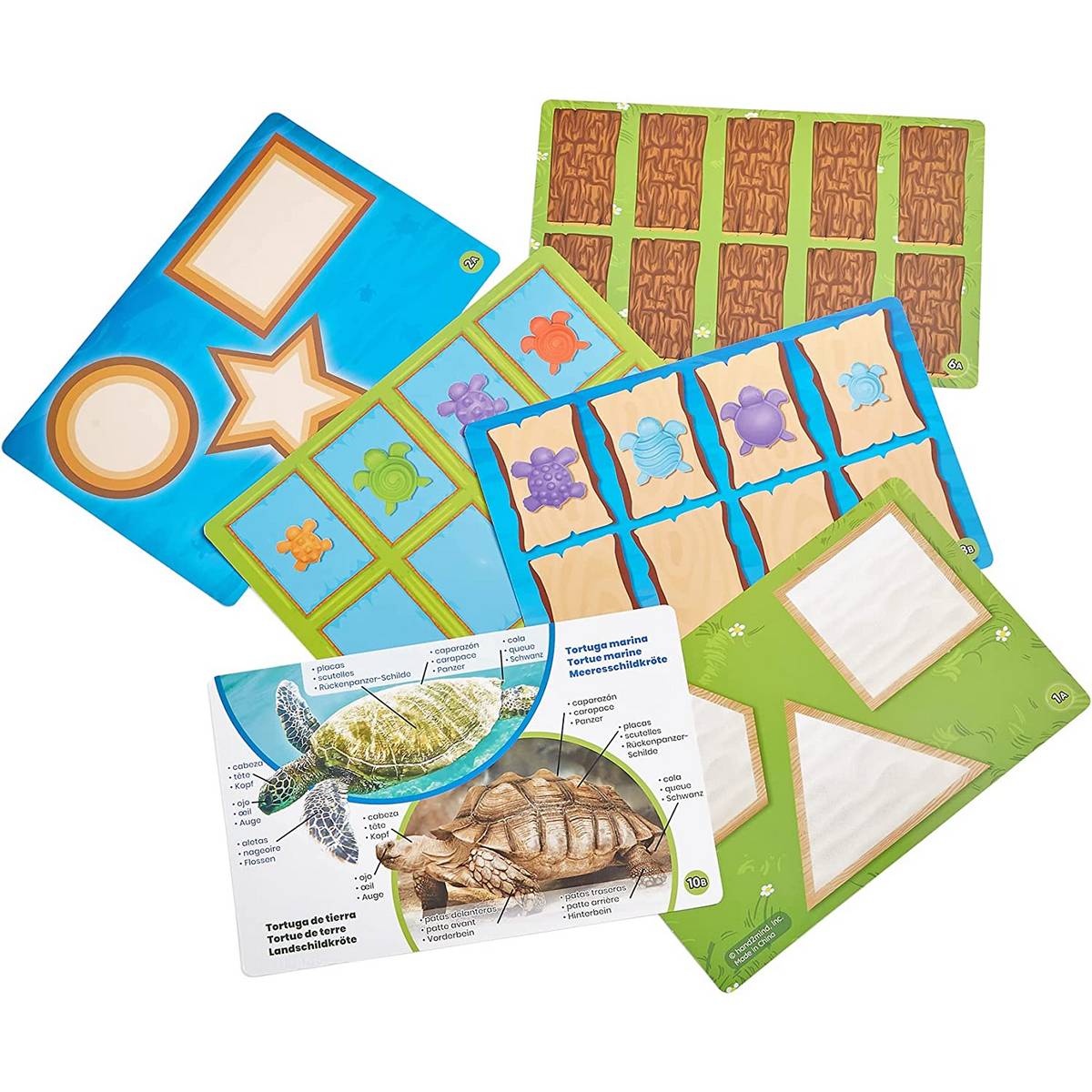 Learning Resources Tactile Turtles Maths Activity Set - ABC School Supplies