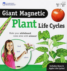 Giant Magnetic Plant Life Cycle
