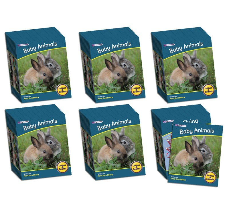 Letters & Sounds Phase 1 Set 2 Non - Fiction - 6 Pack - ABC School Supplies