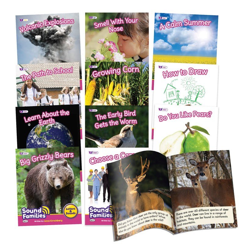 Letters & Sounds Phase 5.5 Non - Fiction Sound Families R - Controlled - ABC School Supplies