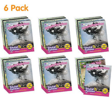 Letters & Sounds Phase 5.5 Non - Fiction Sound Families R - Controlled - 6 Pack - ABC School Supplies