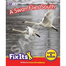 Letters & Sounds Phase 6 Non - Fiction Fix Its Suffixes - ABC School Supplies