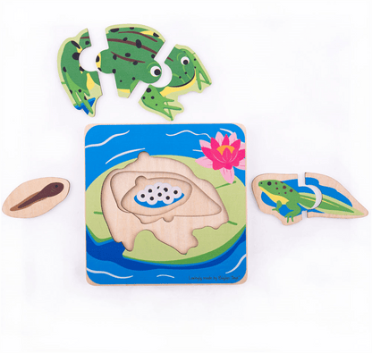 Lifecycle Layer Puzzle - Frog - ABC School Supplies