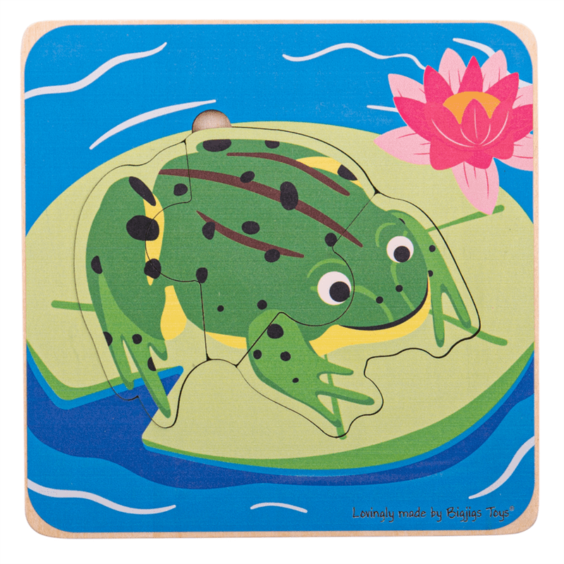 Lifecycle Layer Puzzle - Frog - ABC School Supplies