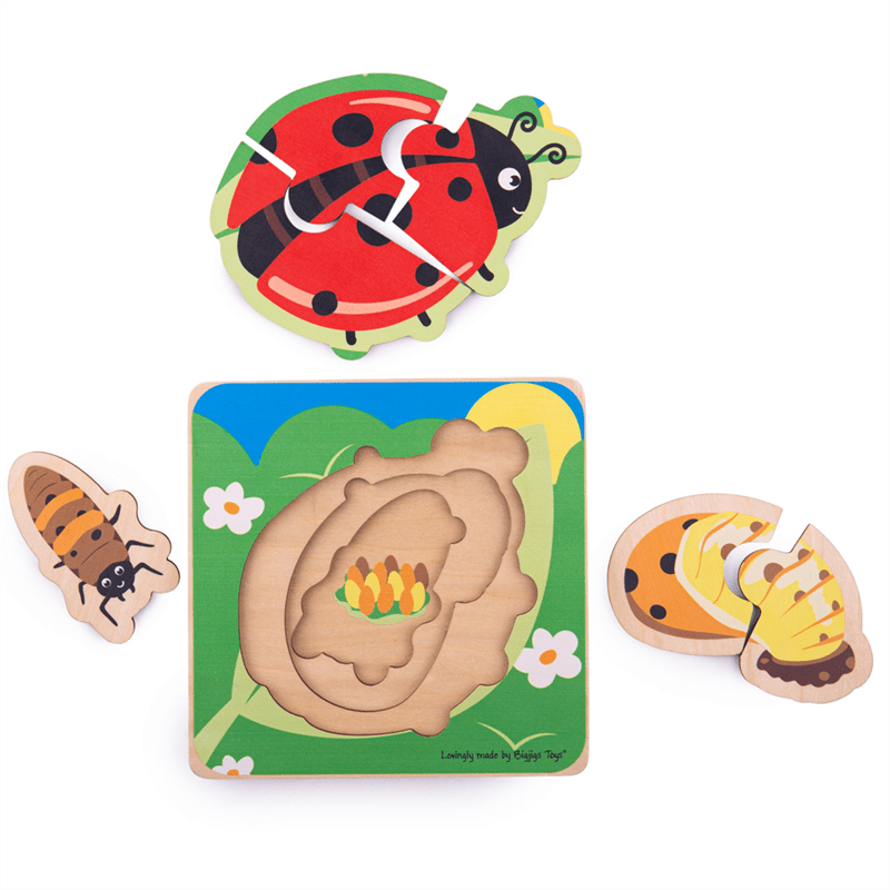 Lifecycle Layer Puzzle - Ladybug - ABC School Supplies