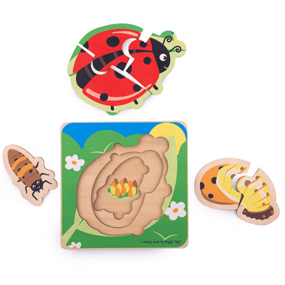Lifecycle Layer Puzzle - Ladybug - ABC School Supplies