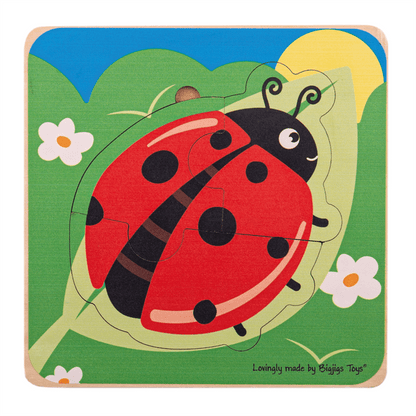 Lifecycle Layer Puzzle - Ladybug - ABC School Supplies