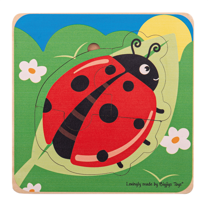 Lifecycle Layer Puzzle - Ladybug - ABC School Supplies