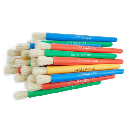 Major Brushes Chubby Brushes Pack of 20 - ABC School Supplies