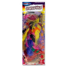 Mini Coloured Exotic Feathers - ABC School Supplies