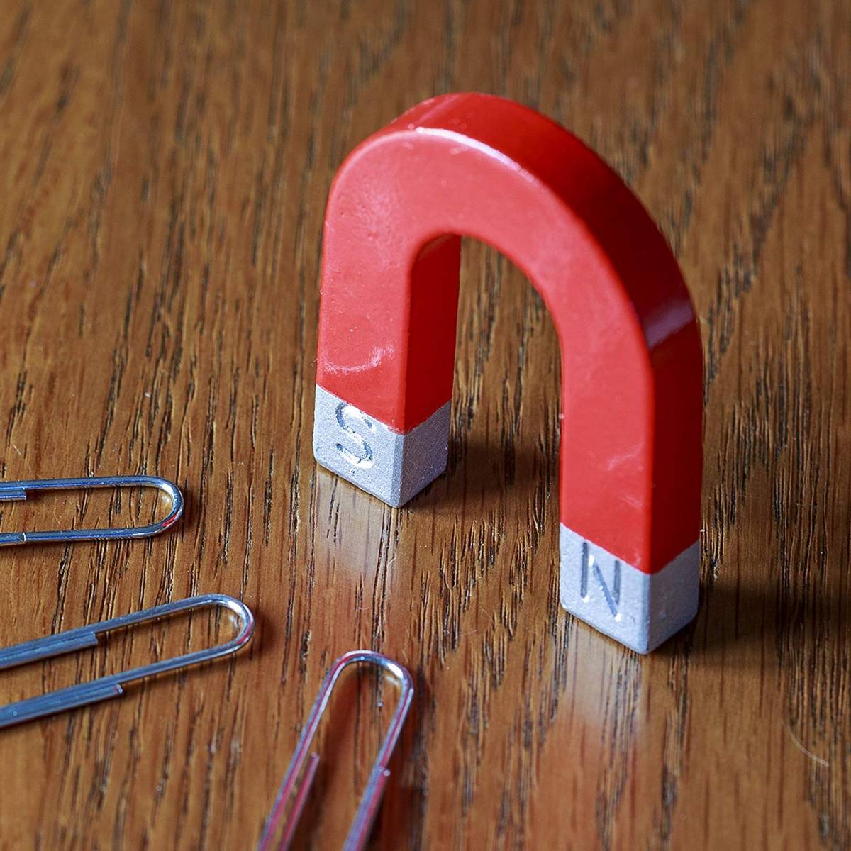 Mini Horseshoe Magnet - ABC School Supplies