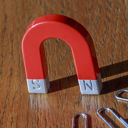 Mini Horseshoe Magnet - ABC School Supplies