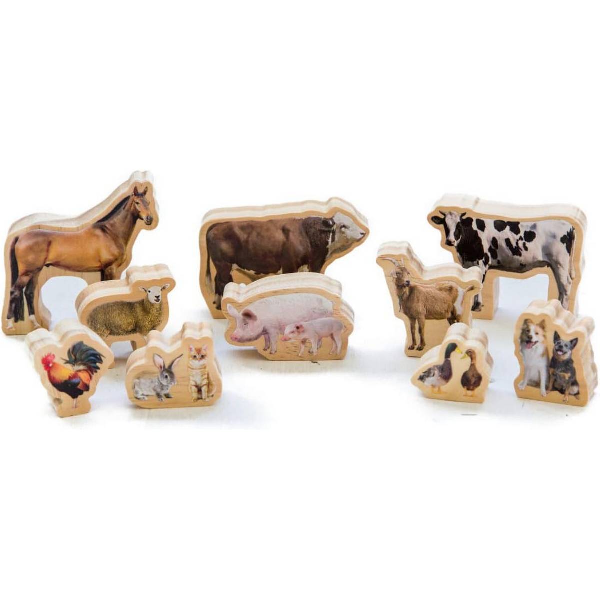 My Farm Animals - ABC School Supplies