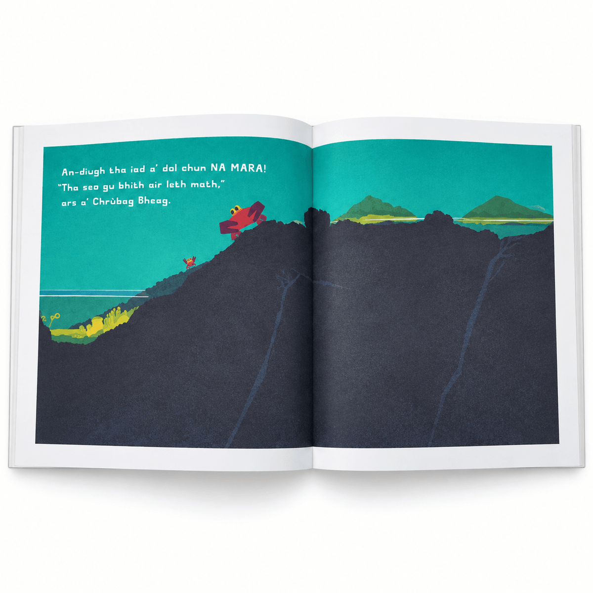 Na Gabh Dragh, a Chrubag Bheag by Chris Haughton - ABC School Supplies