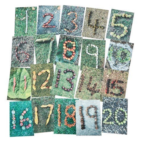 Natural Autumn - Winter Number Cards - ABC School Supplies