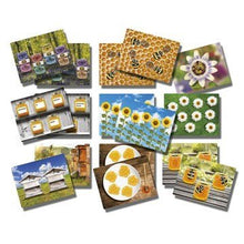 **Natural Spring - Summer Number Cards - ABC School Supplies