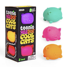 NeeDoh Teenie Cool Cats - ABC School Supplies