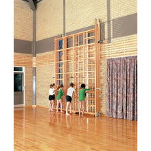 Niels Larsen Spectrum Climbing Frame - Multi - H3.05M - ABC School Supplies