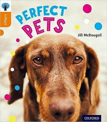 Oxford Reading Tree Infact Level 6 Perfect Pets - ABC School Supplies
