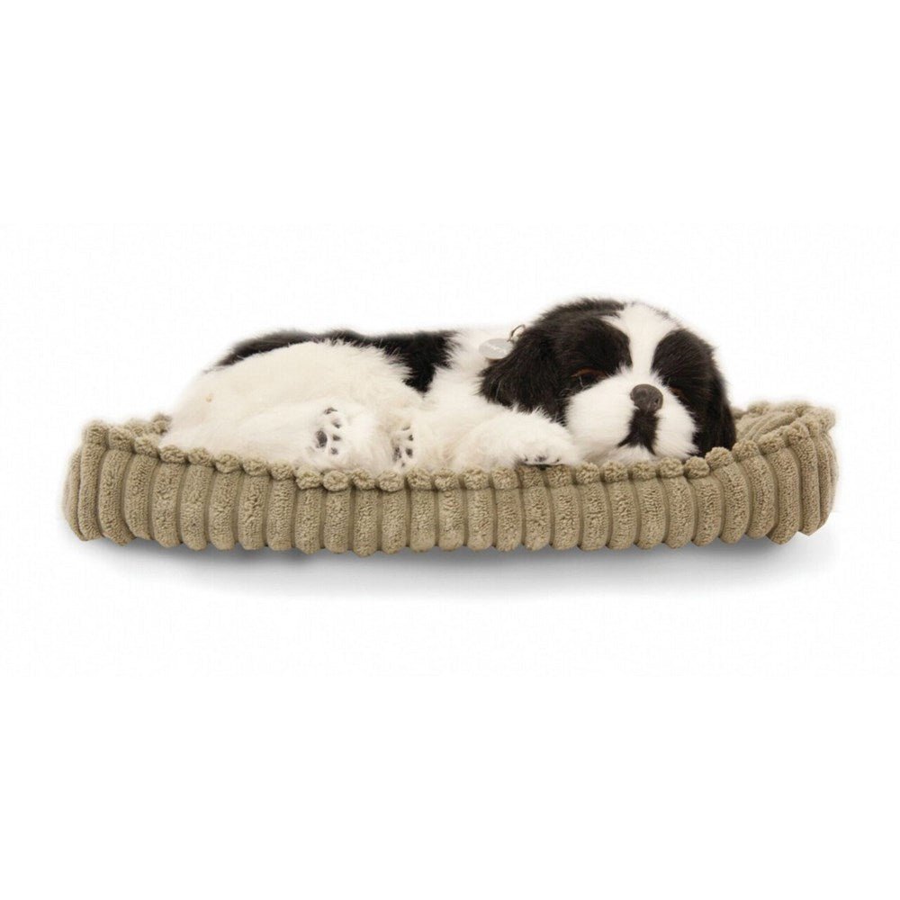 Perfectpetzzz - Sleeping dog Border Colli - ABC School Supplies