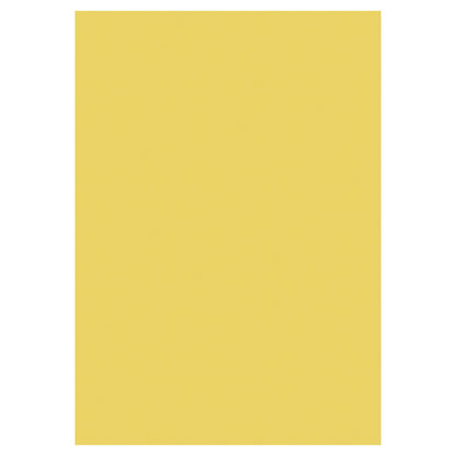 Premier A2 160gsm Fluorescent Neon Card (Pack of 20) - ABC School Supplies