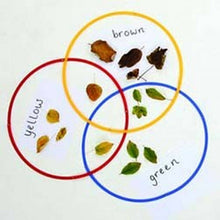 Desktop Sorting Rings Set - Pack of 15