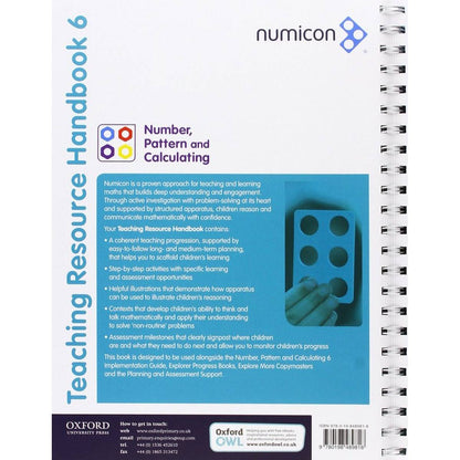 Numicon: Number, Pattern and Calculating 6 Teaching Pack