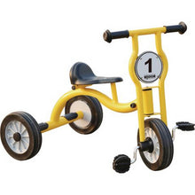 Wisdom Small Trike