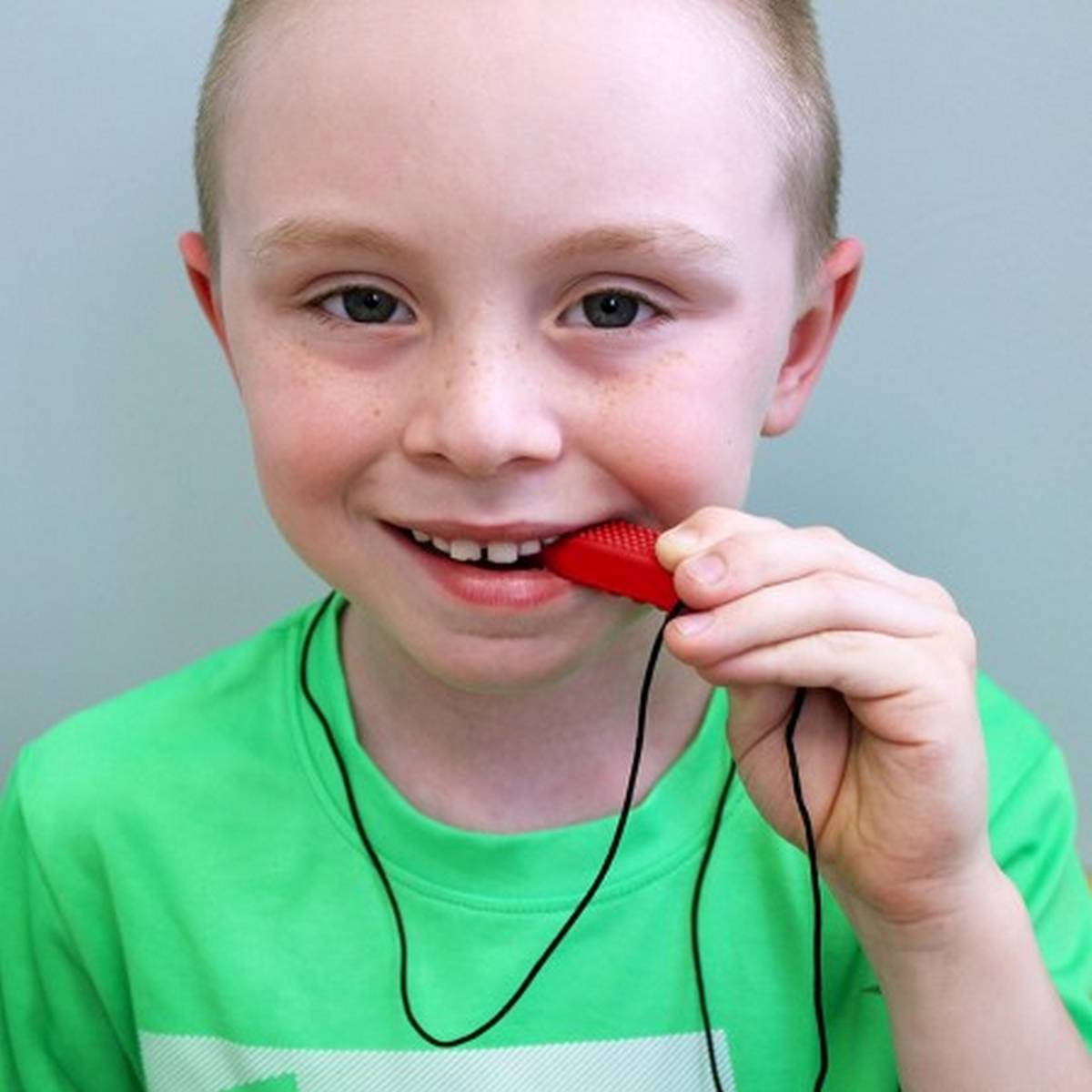 ARK's Brick Stick Chew Necklace (Hard)