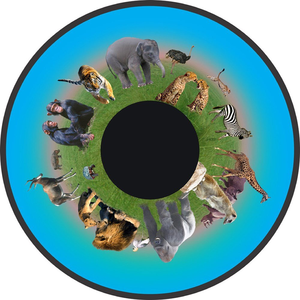 Projector Wheel 6 Inch - Animals - ABC School Supplies