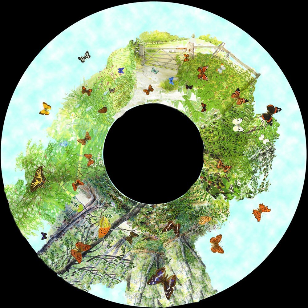 Projector Wheel 6 Inch - British Butterflies Scene - ABC School Supplies