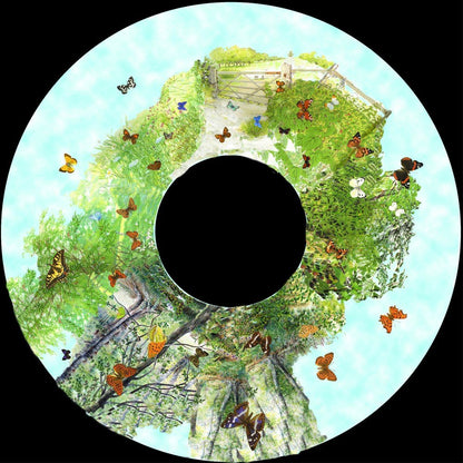 Projector Wheel 6 Inch - British Butterflies Scene - ABC School Supplies