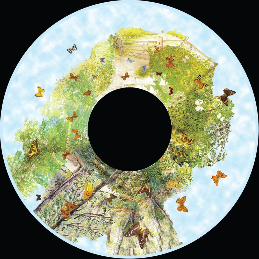Projector Wheel 6 Inch - British Butterflies Scene - ABC School Supplies