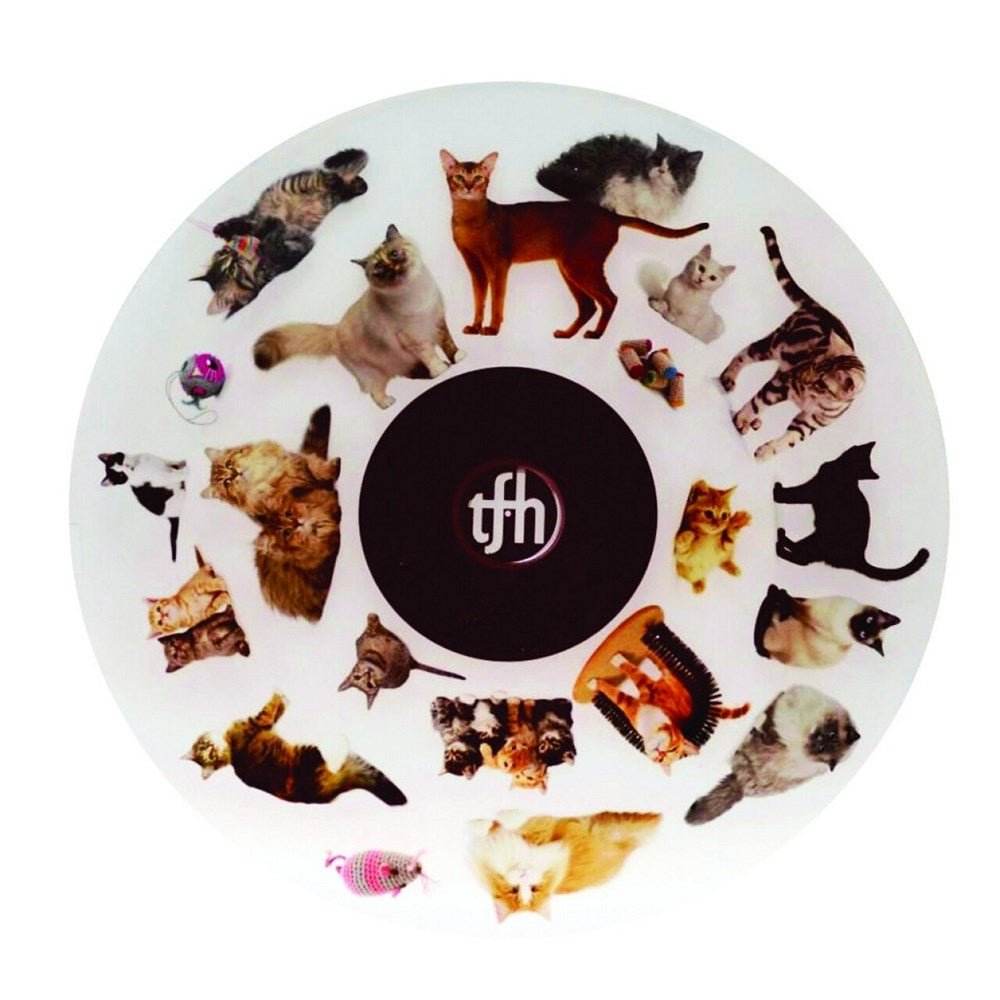 Projector Wheel 6 Inch - Cats Scene - ABC School Supplies