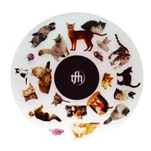 Projector Wheel 6 Inch - Cats Scene - ABC School Supplies