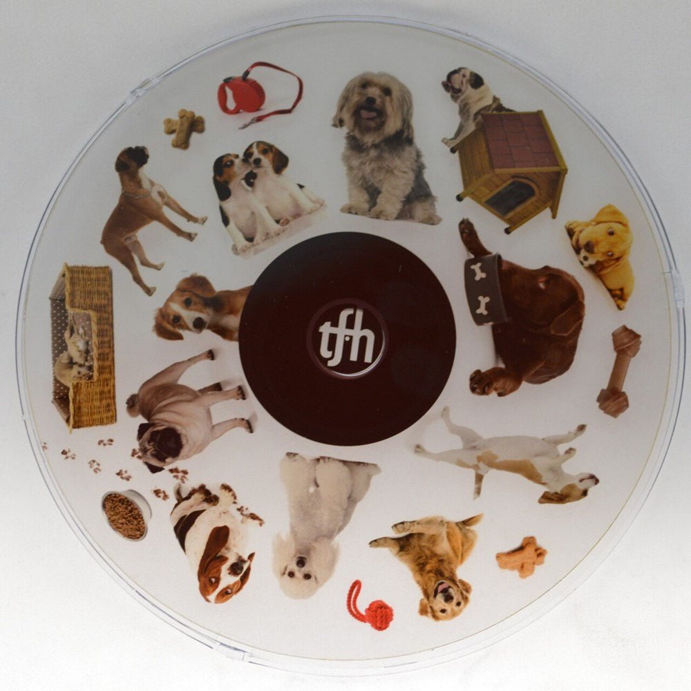 Projector Wheel 6 Inch - Dogs Scene - ABC School Supplies