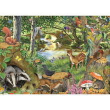 Riverside Glade - BIG 500 Piece Jigsaw Puzzle - ABC School Supplies
