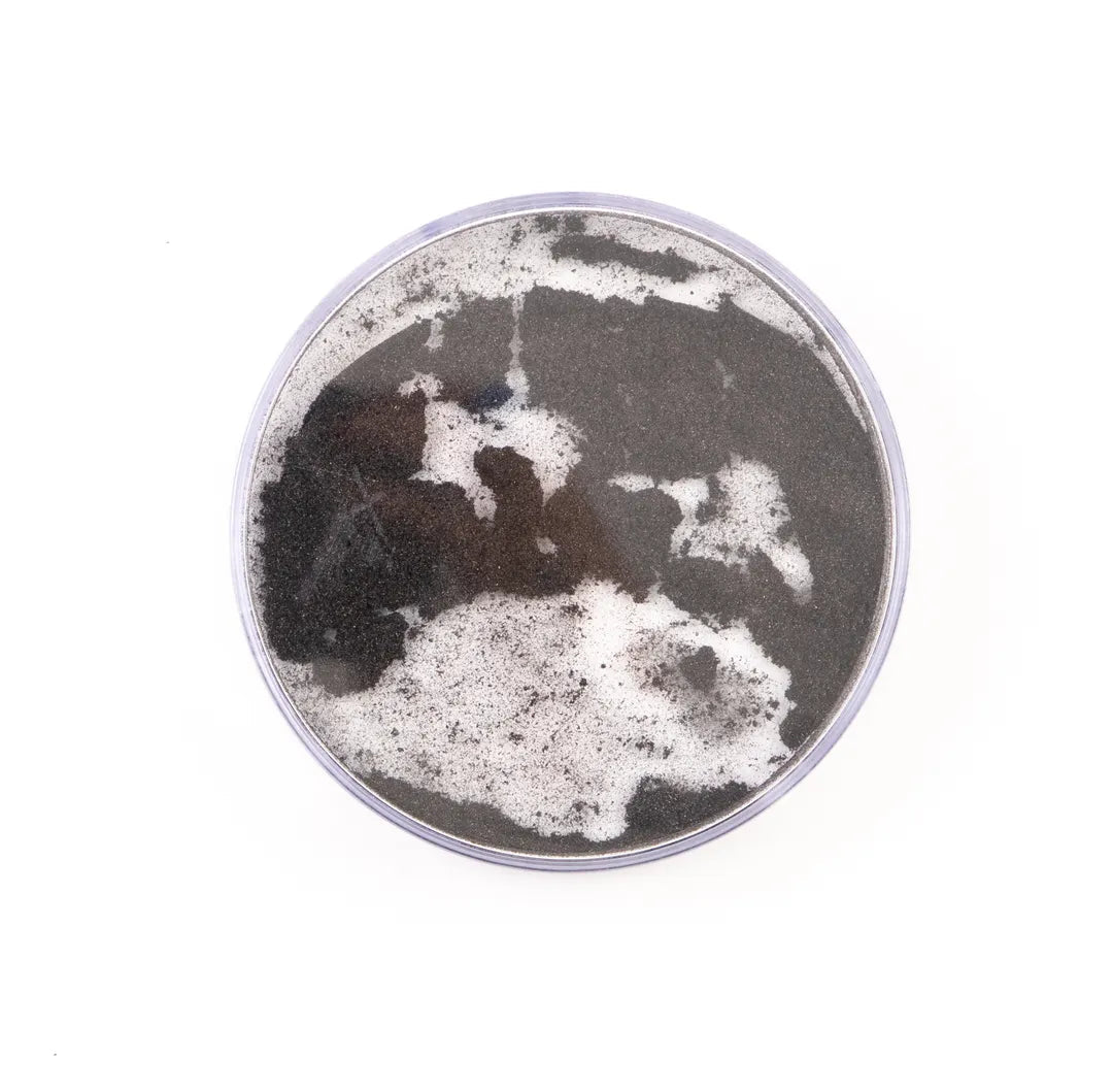 Round Iron Filings Bubble Pack of 10 - ABC School Supplies