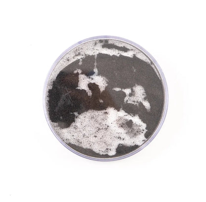 Round Iron Filings Bubble Pack of 10 - ABC School Supplies